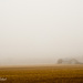 Morning Mist by ragnhildmorland