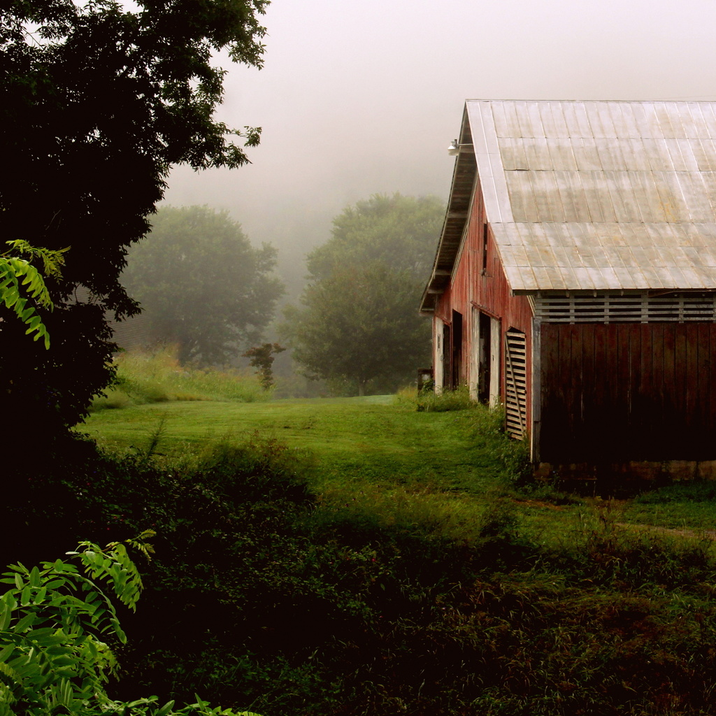 Barn on a Misty Morn by calm