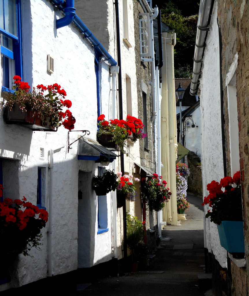 One of the alleyways by the harbour at Polperro . by snowy