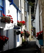 5th Sep 2013 - One of the alleyways by the harbour at Polperro .