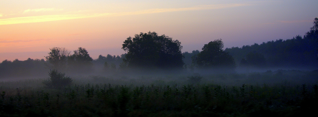 Misty Morning Return by kevin365