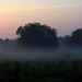 Misty Morning Return by kevin365