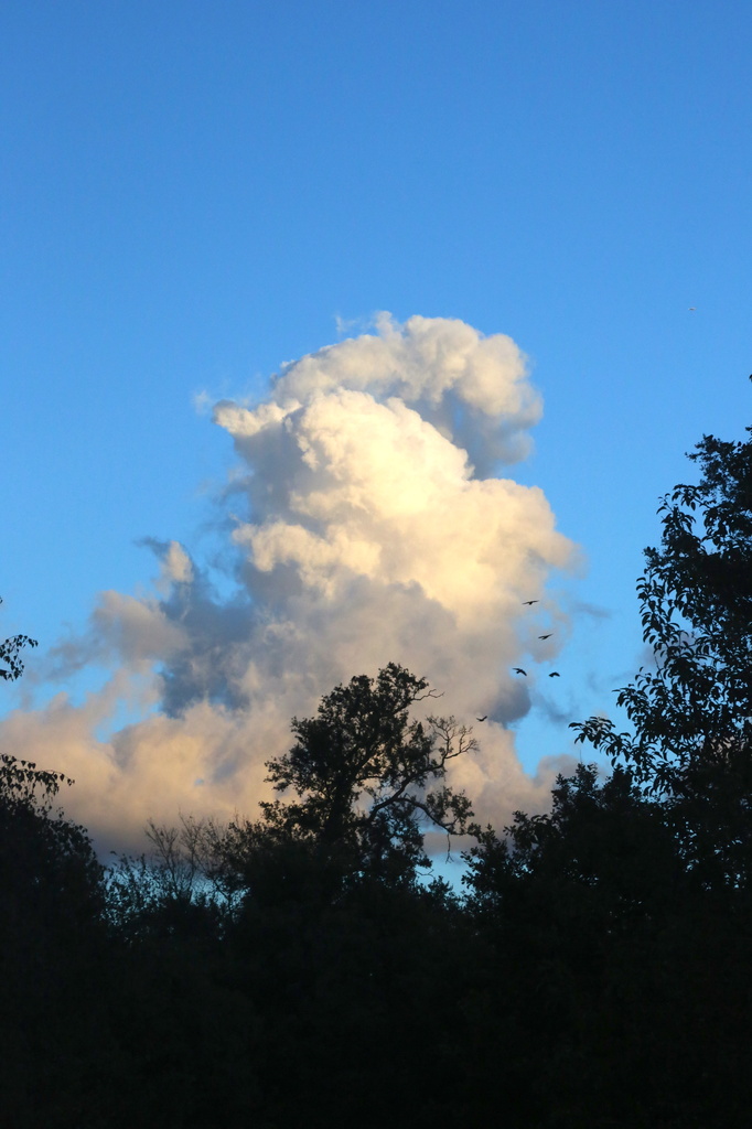 Towering cloud by padlock