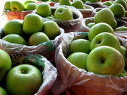 7th Sep 2013 - Apples