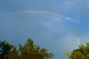 4th Sep 2013 - Rainbow