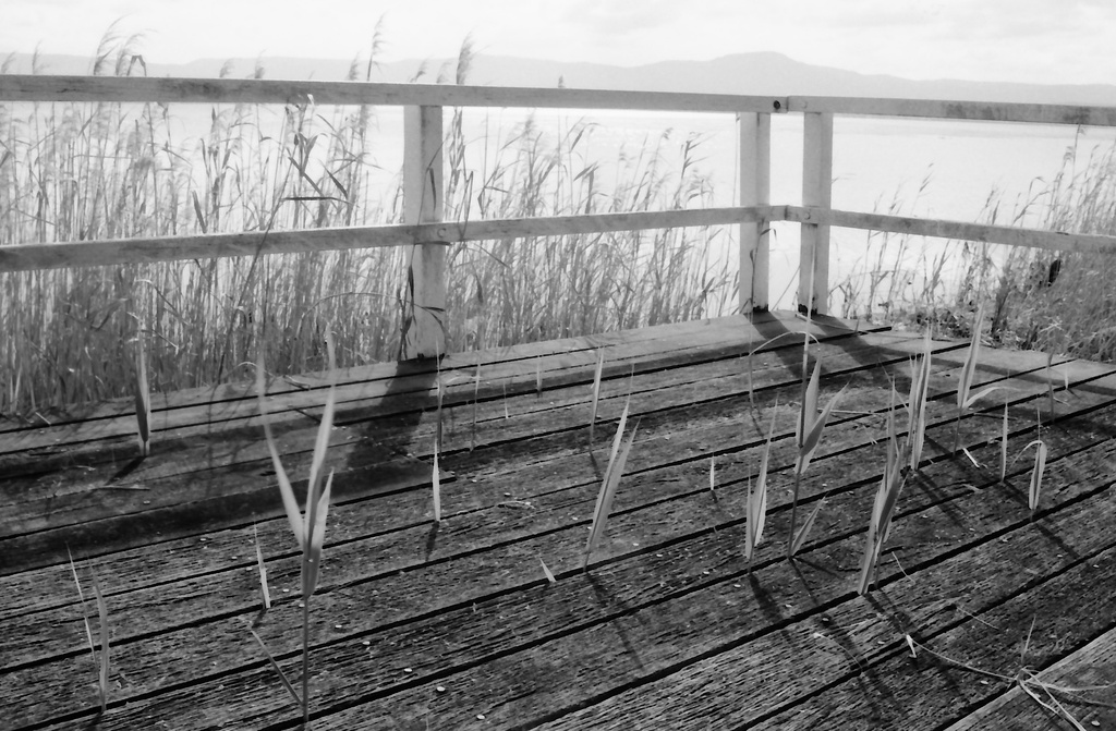 Deserted pier by peterdegraaff