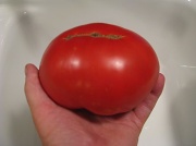 3rd Sep 2010 - big tomato