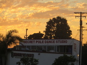 8th Sep 2013 - Secret Pole Dance