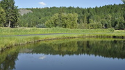 8th Sep 2013 - The Trout Pond