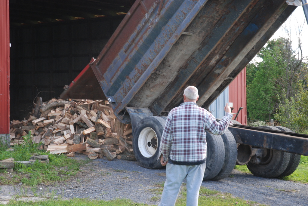 Wood pile  by farmreporter