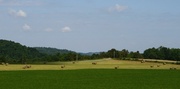 9th Sep 2013 - Field of hay