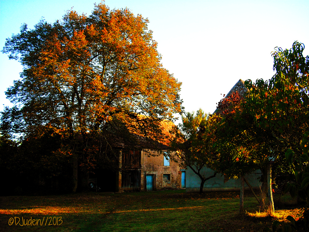Autumnal France. by darrenboyj