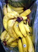 5th Sep 2013 - Bananas for Shake