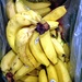 Bananas for Shake by cityflash