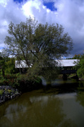 8th Sep 2013 - Bridge Covered Again