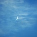 Crescent In The Clouds by lizzybean