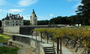 9th Sep 2013 - Chateau Chenonceau