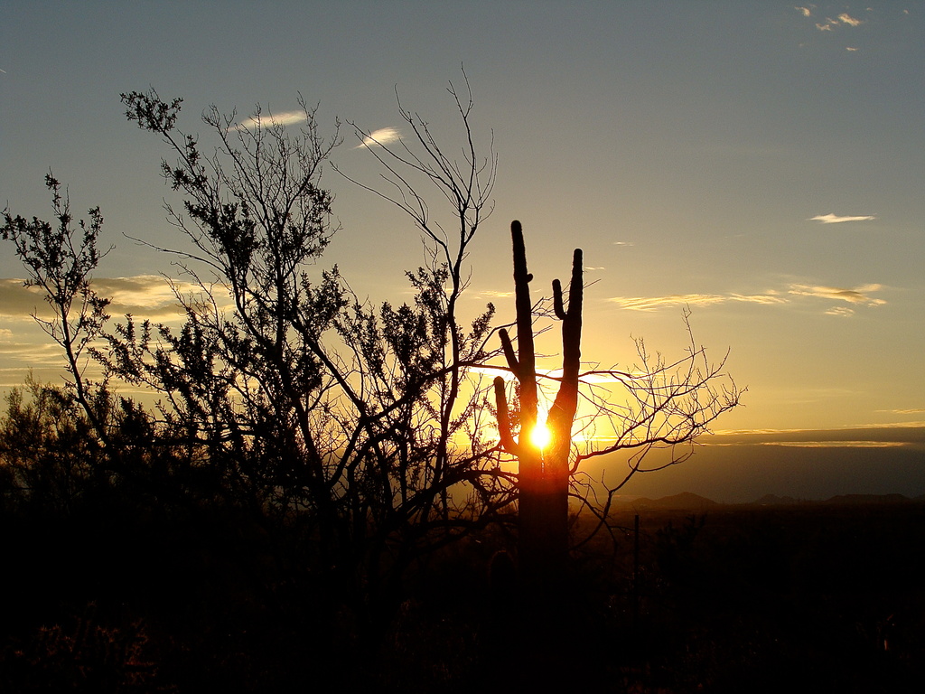 Sunset in Phoenix by princessleia