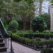 Garden and stairs, Harleston Village, Charleston, SC by congaree
