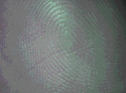 10th Sep 2013 - Fingerprint