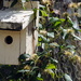 Little Yellow Birdhouse by genealogygenie