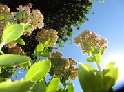 11th Sep 2013 - View from the Ground