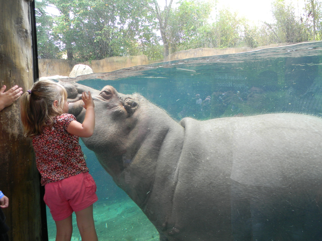 Hippo Kisses by homeschoolmom