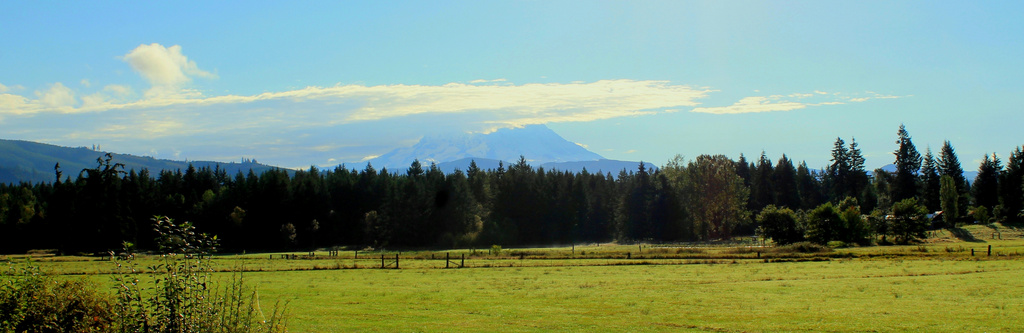 Mt Rainier from a distance. by jankoos