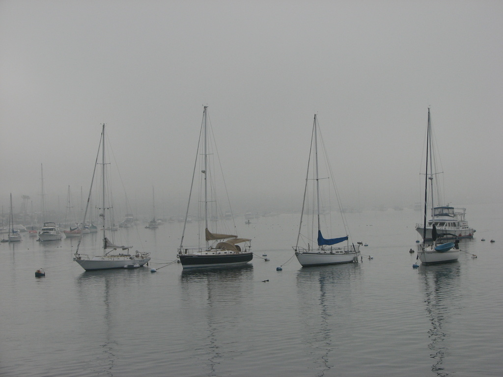 Newport Harbor Fog  by cheriseinsocal