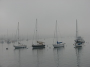 12th Mar 2013 - Newport Harbor Fog 