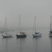 Newport Harbor Fog  by cheriseinsocal