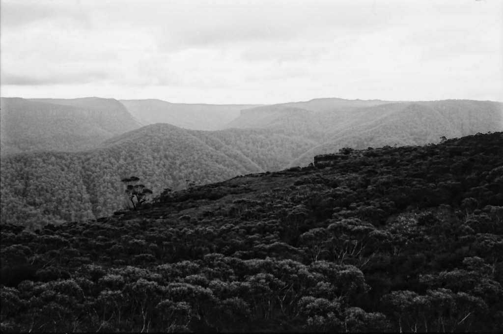 Looking toward Sassafras by peterdegraaff