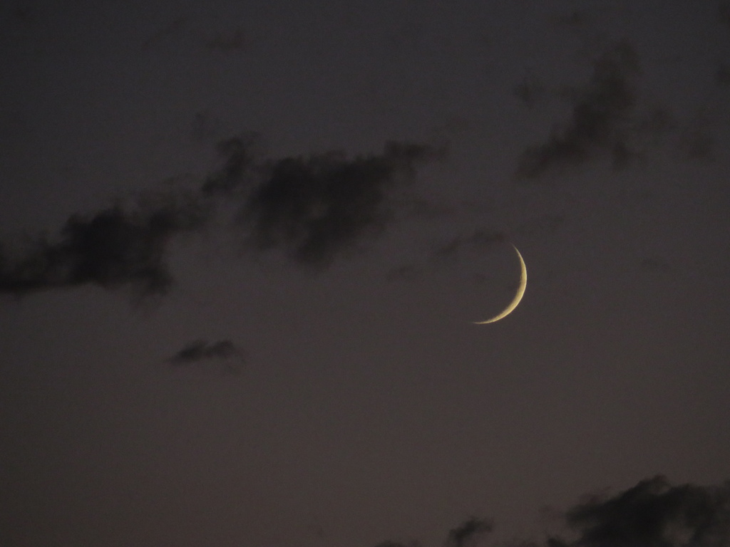 Crescent Moon by lisasutton