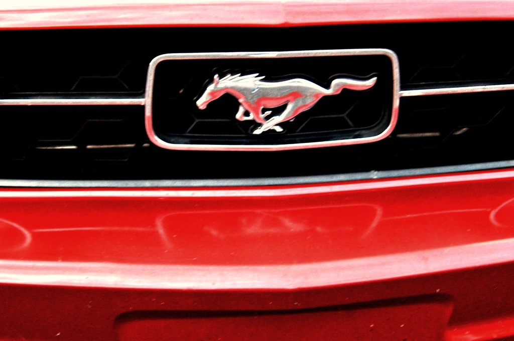 Mustang in Red by linnypinny