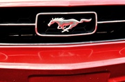 12th Sep 2013 - Mustang in Red