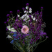 flowers by dakotakid35