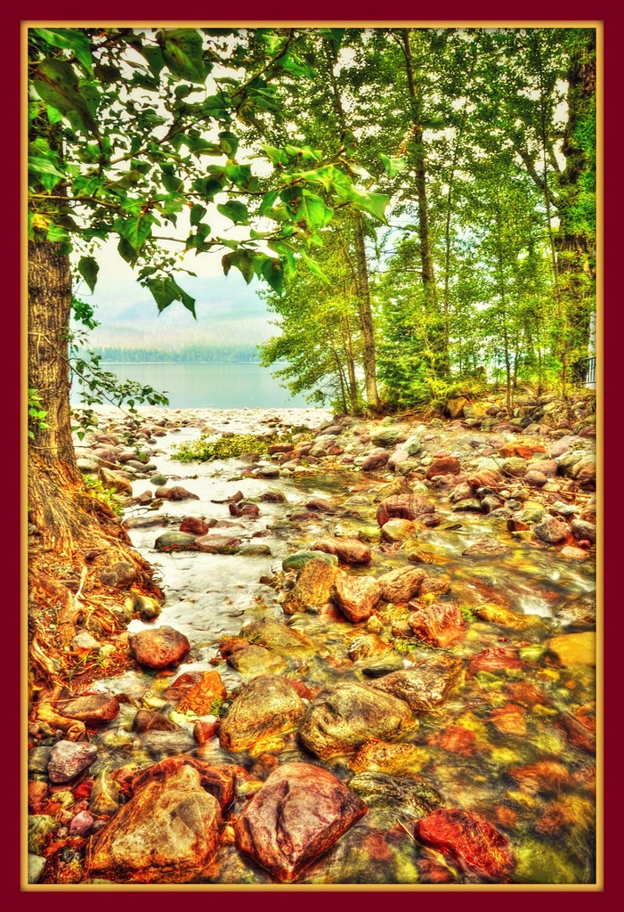 The Creek to Lake McDonald  by joysfocus