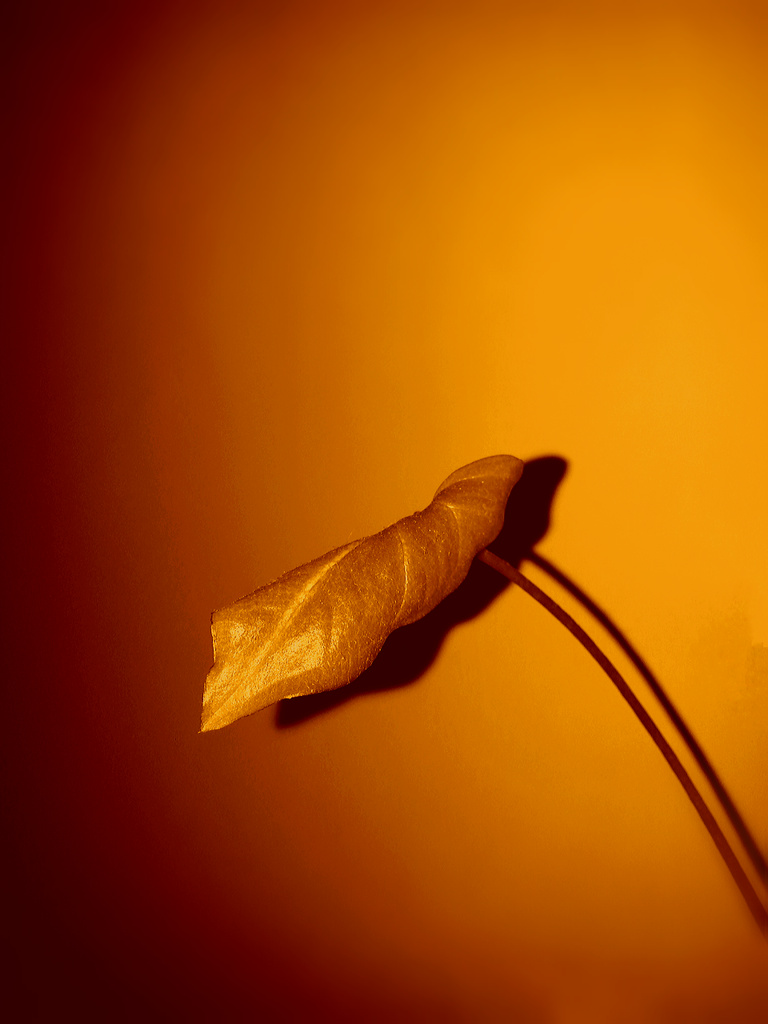 A Leaf of Gold... by amrita21
