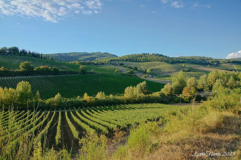 Tuscan Valley by lynne5477