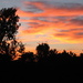 Good Morning Sky by linnypinny