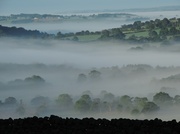9th Sep 2013 - Monday morning mist