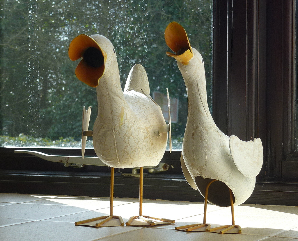 Quacking ornaments, Gromit!  by gareth