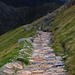 Stairway to Heaven! by shepherdmanswife