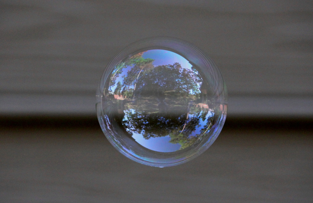 Life in a Bubble by rayas