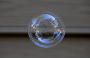 14th Sep 2013 - Life in a Bubble
