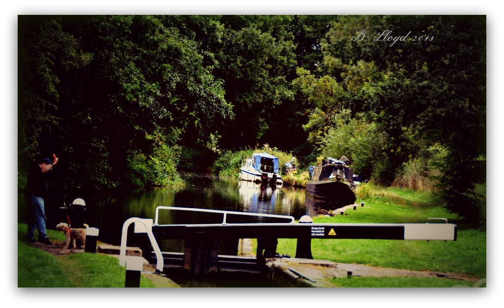 Canal boats  by beryl
