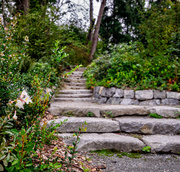 15th Sep 2013 - Seattle Arboretum
