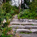 Seattle Arboretum by jgpittenger