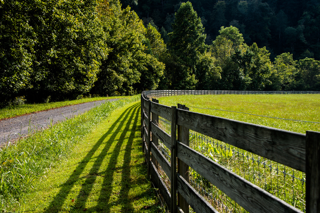 Fence-line and shadows by kathyladley