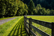 15th Sep 2013 - Fence-line and shadows